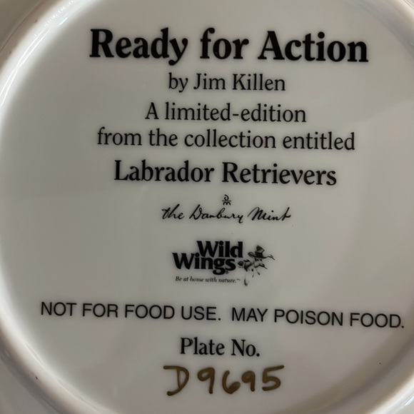 Decorative Jim Killen Porcelain Collector Plate - Picture 4 of 5